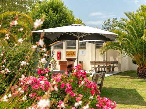 Camping Les Catalpas de Royan - Camping Charente-Maritime - Image N°4