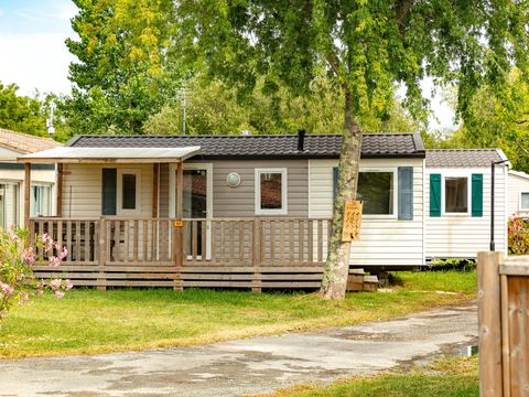 Camping Les Catalpas de Royan - Camping Charente-Maritime - Image N°3