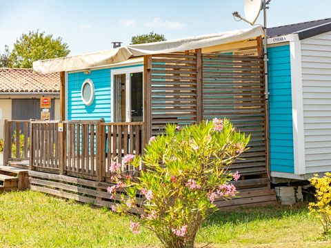 Camping Les Catalpas de Royan - Camping Charente-Maritime - Image N°14