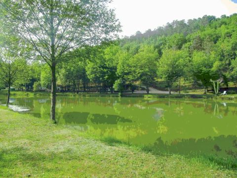 Camping Le Roc de Lavandre - Camping Dordogne - Image N°4