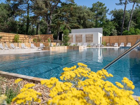 Camping Les Cyprès - Camping Vendée - Image N°3