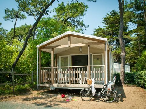 MOBILHOME 4 personnes - ECO Mobil home 2ch. LUDISIA (de + 10 ans) 24 m² + Terrasse semi-couverte 4 pers