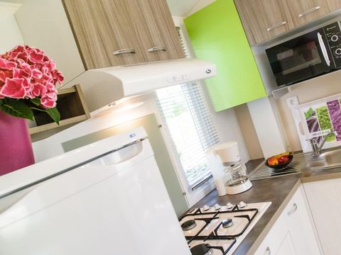 MOBILHOME 4 personnes - ECO Mobil home 2ch. LUDISIA (de + 10 ans) 24 m² + Terrasse semi-couverte 4 pers