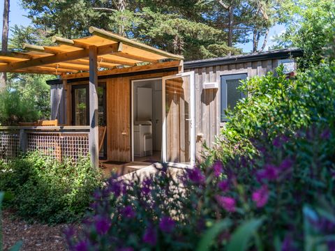 Mobilhome 3 personnes - CONFORT Mobil home 1ch. VANILLA (2016) 22m² + Terrasse semi-couverte 2/3 pers