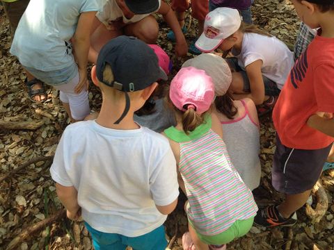 Camping Les Cyprès - Camping Vendée - Image N°43