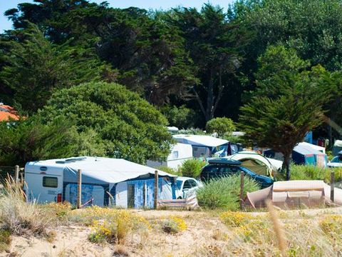 Camping Les Cyprès - Camping Vendée - Image N°47