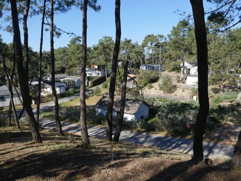 Domaine des Pins   - Camping Vendée - Image N°39