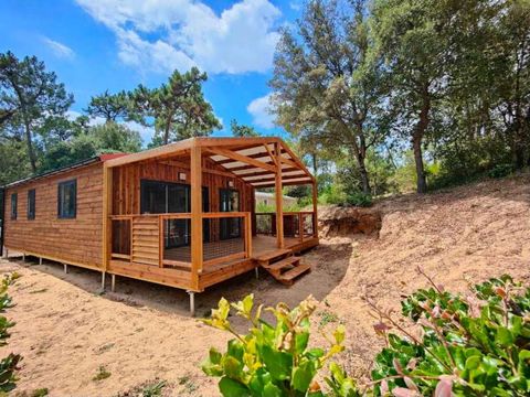 Domaine des Pins   - Camping Vendée - Image N°6