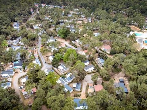 Domaine des Pins   - Camping Vendée - Image N°5