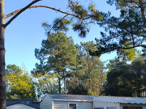 MOBILHOME 6 personnes - 116 - 3 chambres - 2 SDB