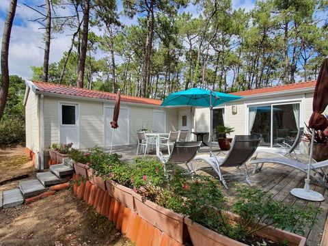 Domaine des Pins   - Camping Vendée - Image N°45