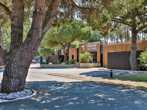 Domaine des Pins   - Camping Vendée - Image N°7