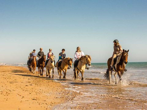 Domaine des Pins   - Camping Vendée - Image N°41