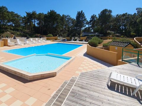 Domaine des Pins   - Camping Vendée - Image N°3
