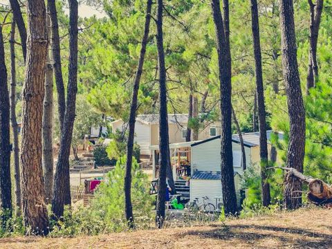 Domaine des Pins   - Camping Vendée - Image N°11