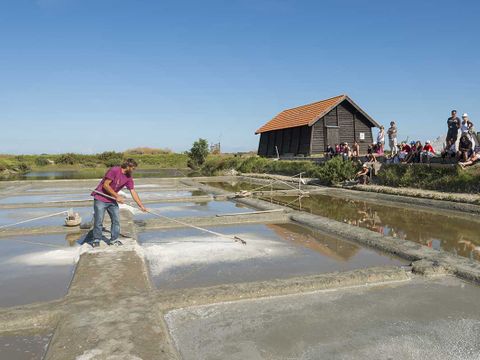 Domaine des Pins   - Camping Vendée - Image N°43