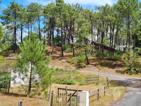 Domaine des Pins   - Camping Vendée - Image N°23