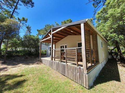 Domaine des Pins   - Camping Vendée - Image N°44