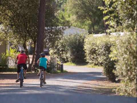 Domaine des Pins   - Camping Vendée - Image N°31