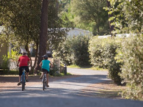 Domaine des Pins   - Camping Vendée - Image N°15