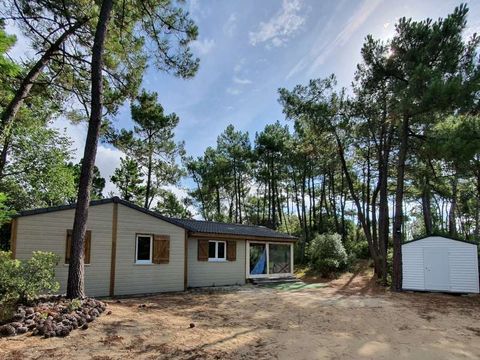Domaine des Pins   - Camping Vendée - Image N°8