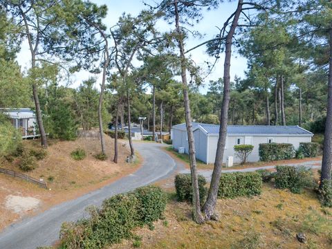 Domaine des Pins   - Camping Vendée - Image N°13