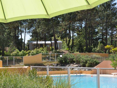 Domaine des Pins   - Camping Vendée - Image N°16