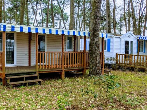 MOBILHOME 4 personnes - PREMIUM