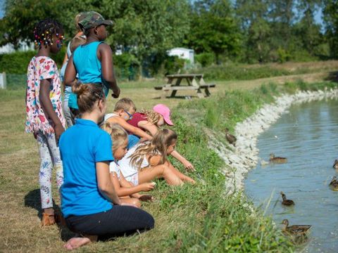 Camping Domaine Villa Campista - Camping Vendée - Image N°15