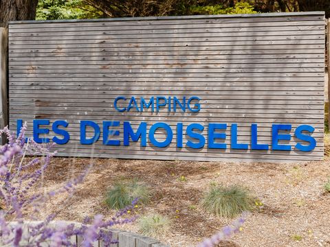 Camping Demoiselles Plage - Camping Vendée - Image N°8