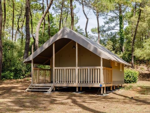 TENTE TOILE ET BOIS 4 personnes - Tente Lodge Confort (2 chambres - Sans sanitaires) 4 pers. 