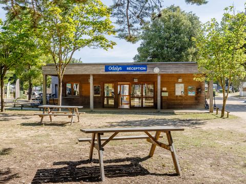 Camping Demoiselles Plage - Camping Vendée - Image N°7