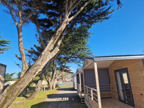 MOBILHOME 4 personnes - Savana Lodge