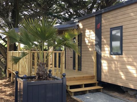 MOBILHOME 4 personnes - Mobil-home Timoé Lodge - 2 chambres - 29.50m² 4 pers