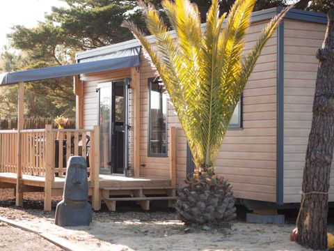 MOBILHOME 4 personnes - Mobil-home Timoé Lodge - 2 chambres - 29.50m² 4 pers