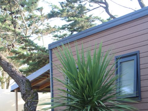MOBILHOME 2 personnes - Mobil-home Tiki Lodge - 1 chambre - 19.50² 2 pers