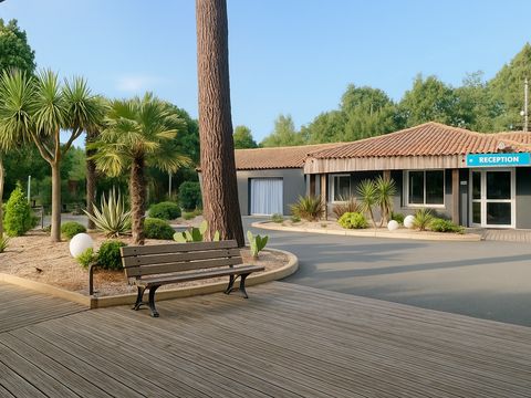 Camping Kabana Village - Camping Vendée - Image N°4