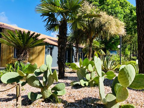 Camping La Puerta del Sol  - Camping Vendée - Image N°30