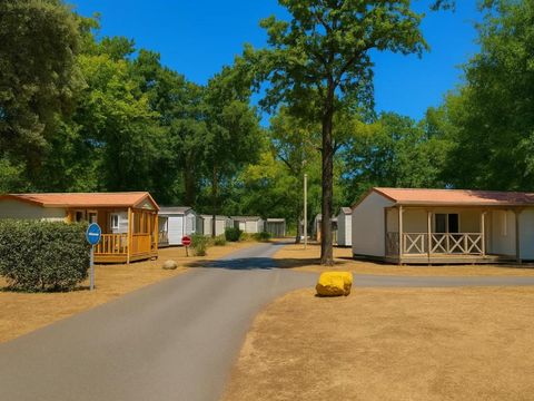 Camping Kabana Village - Camping Vendée - Image N°9