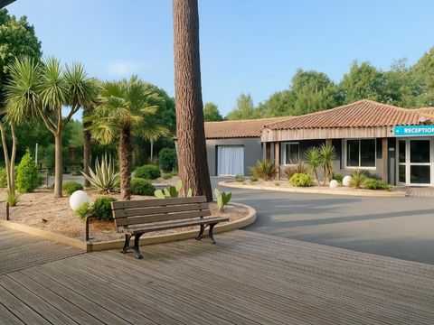Camping Kabana Village - Camping Vendée - Image N°56