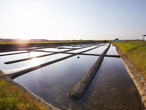 Camping Kabana Village - Camping Vendée - Image N°26