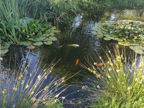 Camping Le Saint Eloy - Camping Puy-de-Dôme - Image N°30