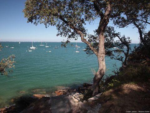 Village vacances Le Hameau de L'Ocean - Camping Vendée - Image N°42
