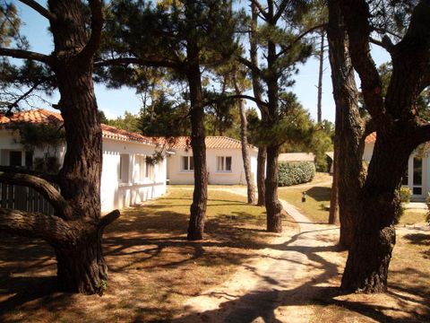 Village vacances Le Hameau de L'Ocean - Camping Vendée - Image N°40