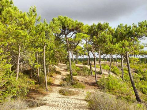 Camping Ushuaïa Villages La Conge - Camping Vendée - Image N°57