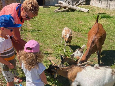 Camping Ushuaïa Villages La Conge - Camping Vendée - Image N°44