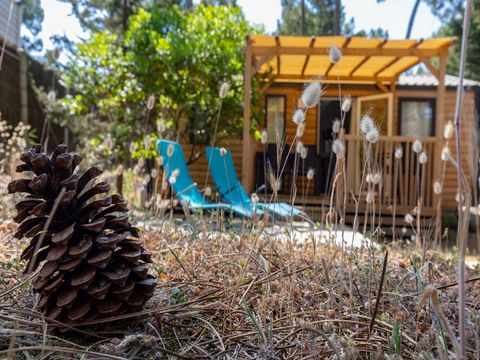 Camping Ushuaïa Villages La Conge - Camping Vendée - Image N°51