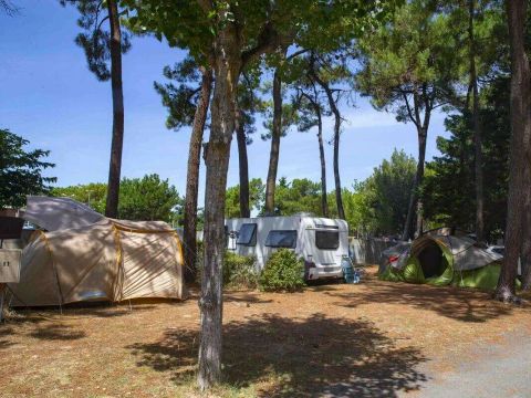 Camping Ushuaïa Villages La Conge - Camping Vendée - Image N°39