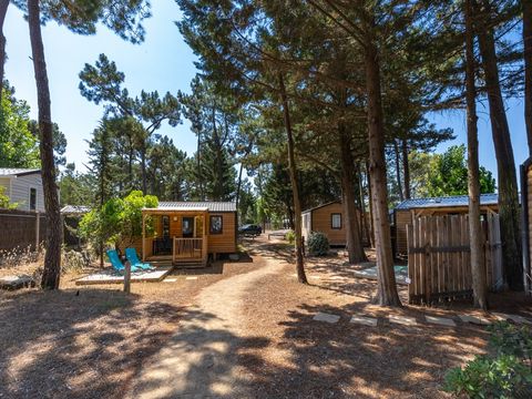 Camping Ushuaïa Villages La Conge - Camping Vendée - Image N°8