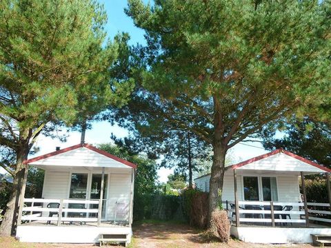 MOBILHOME 4 personnes - BIKINI ou LODGIA